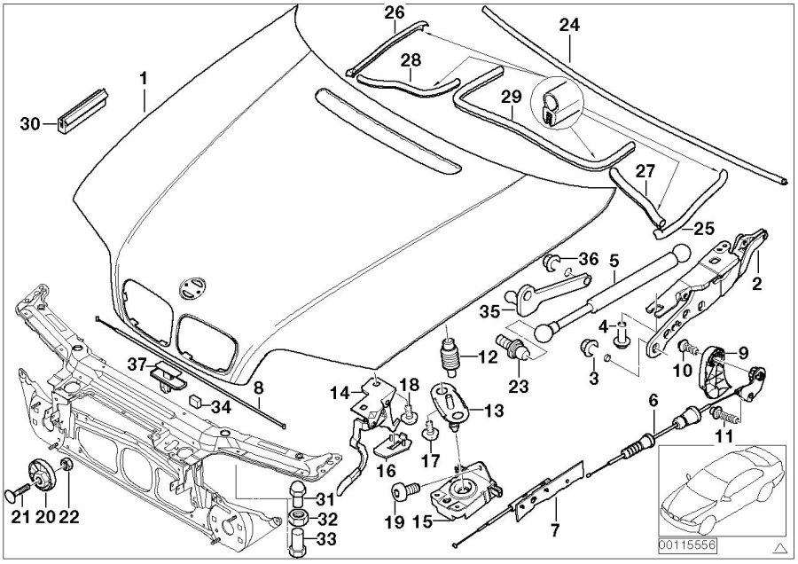 BMW M3 Hex bolt. Body, Battery, Hood - 51213449383 - Genuine BMW Part