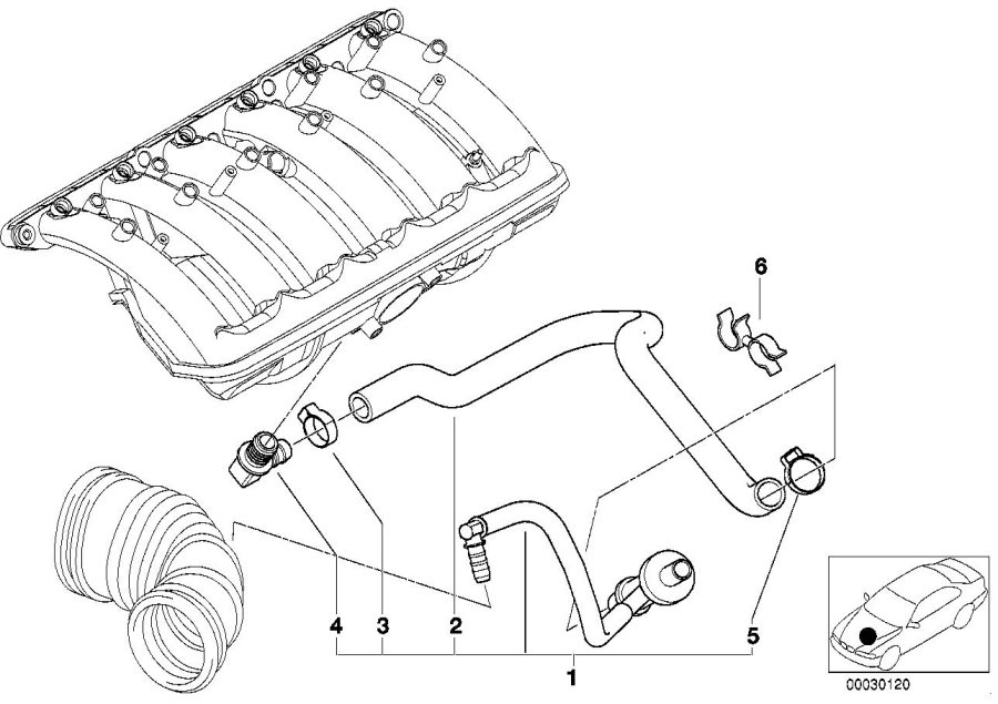 11611439026 Hose elbow. Vacuum, Engine, Control Genuine BMW Part